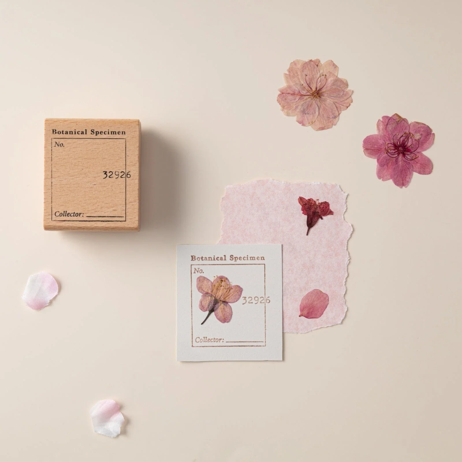 Hinoki - ‘Into the Blossom’ Wooden Stamps Set - Image 7