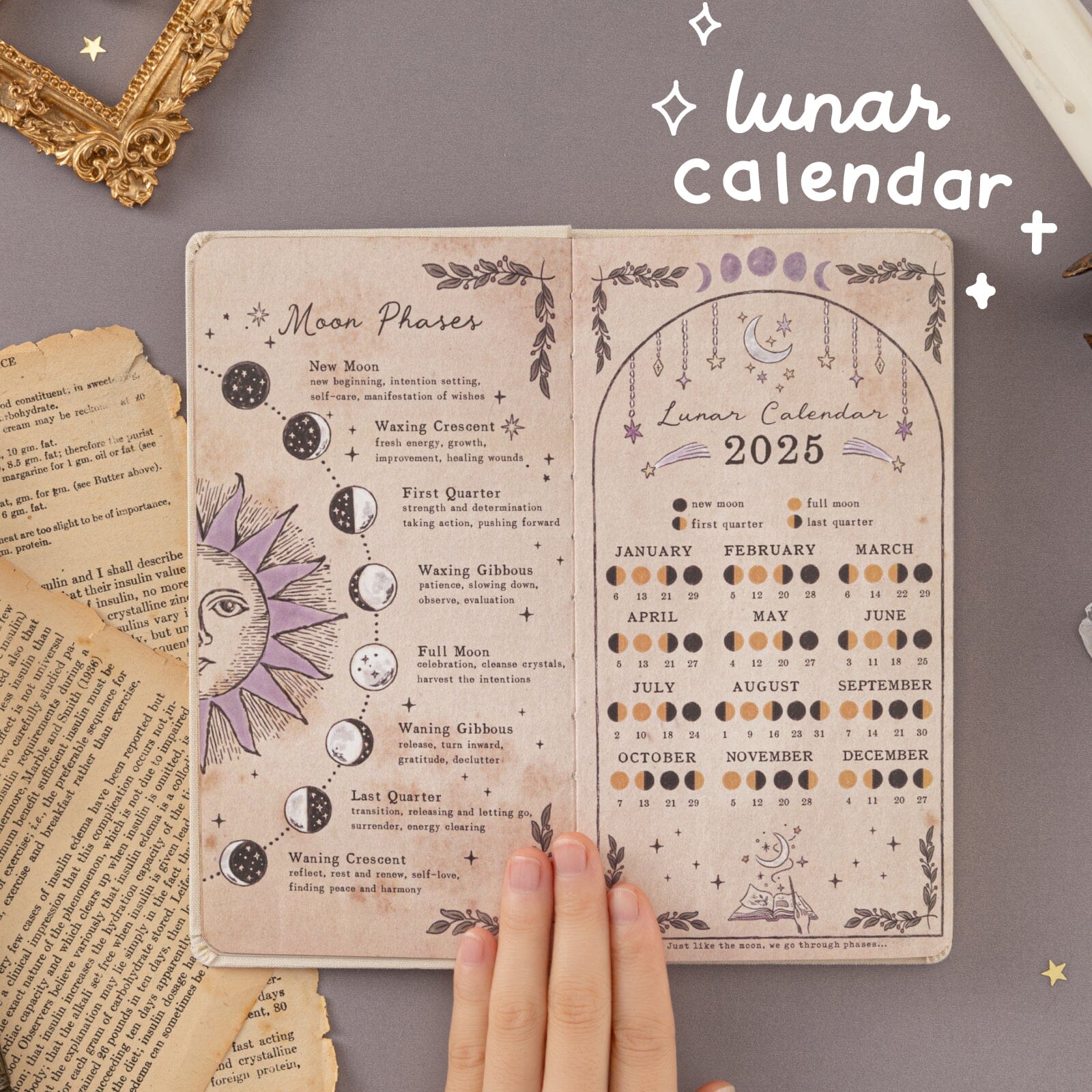 Tsuki ‘Le Soleil’ Collector's Edition Moon Planner Travel Notebook ☾ - Image 2