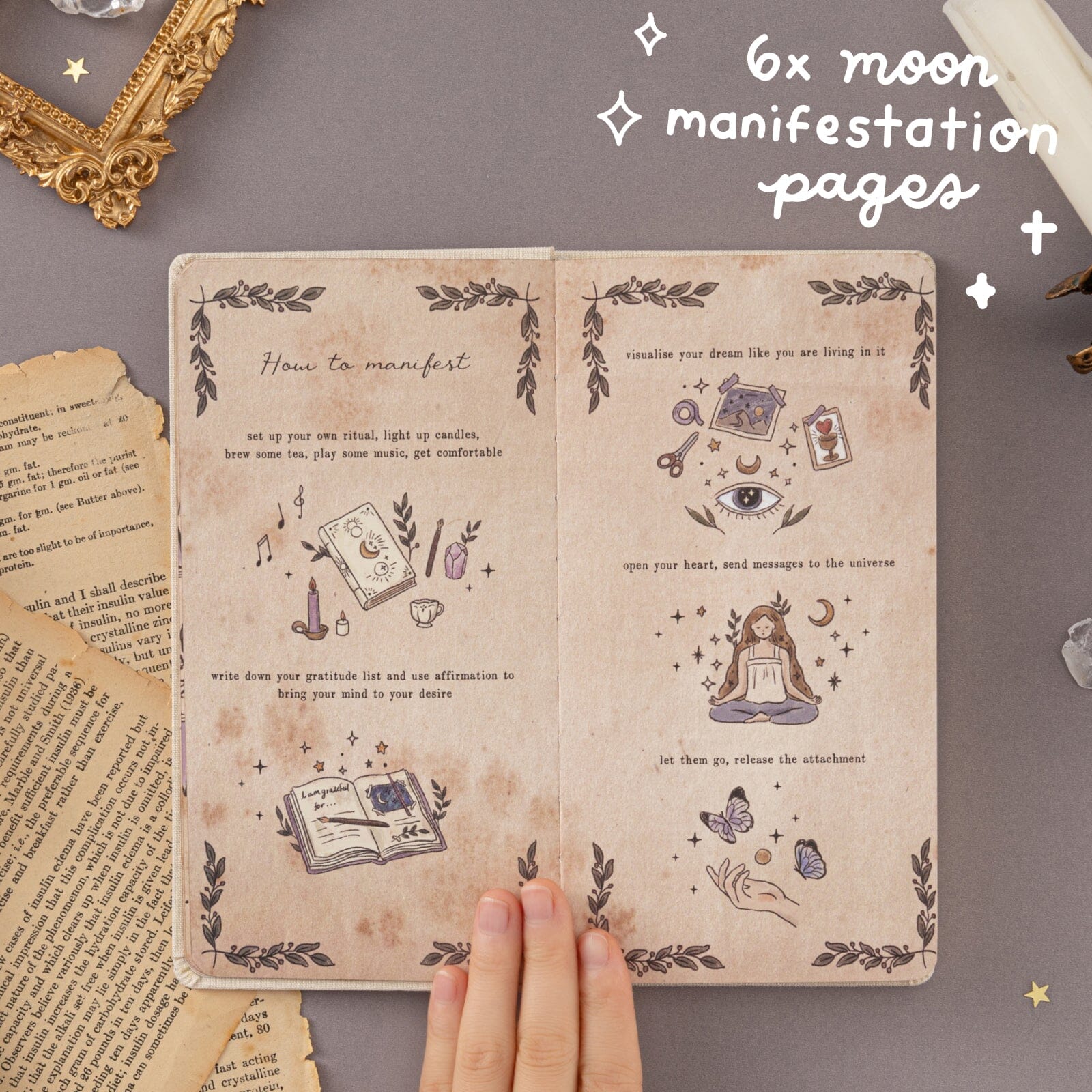 Tsuki ‘Le Soleil’ Collector's Edition Moon Planner Travel Notebook ☾ - Image 3