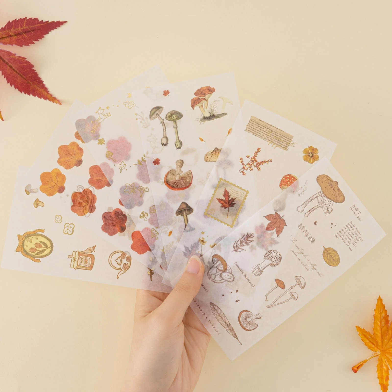 Tsuki ‘Maple Dreams’ Sticker Set ☾ - Image 3