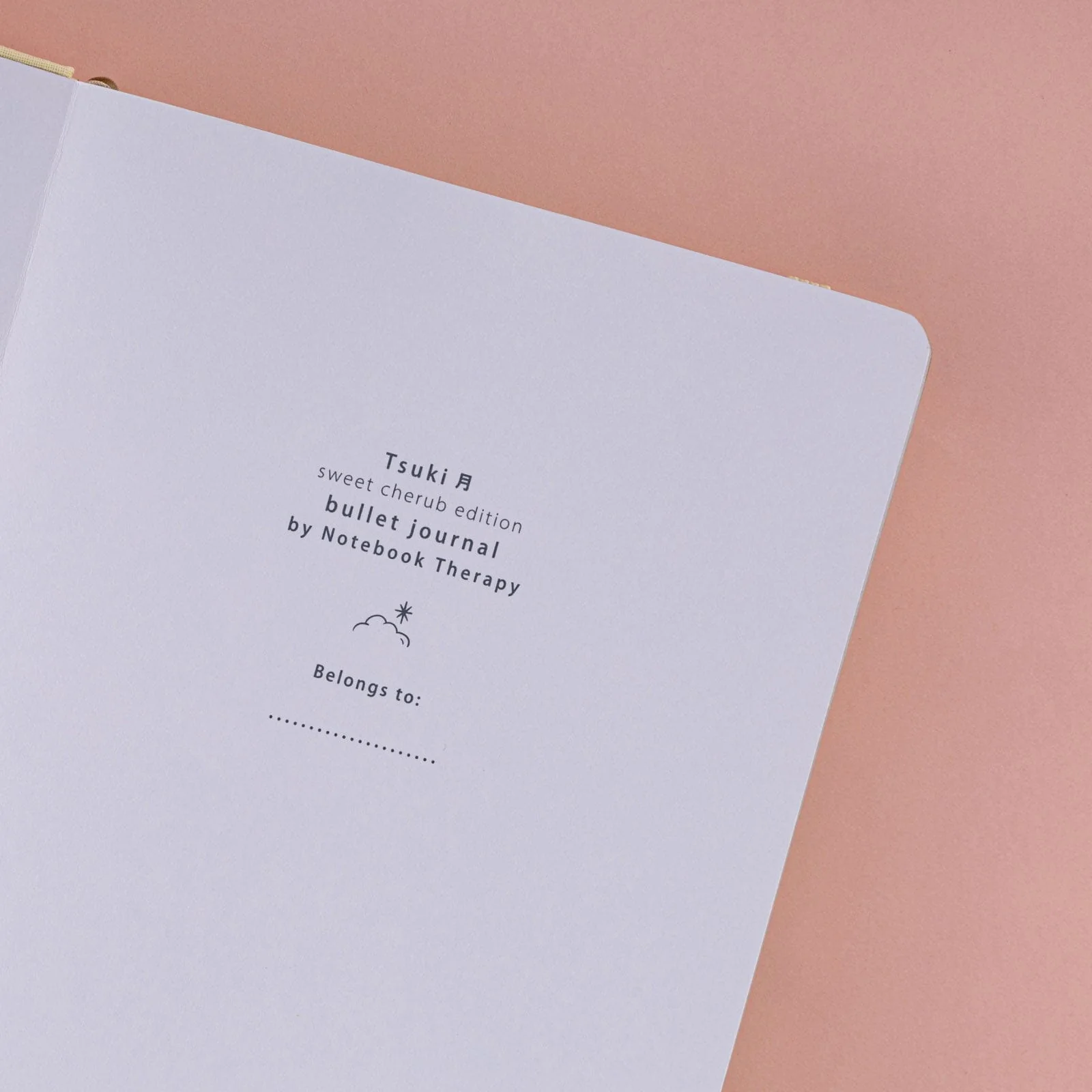 Tsuki ‘Sweet Cherub’ Limited Edition Luxury Bullet Journal ☾ - Image 7